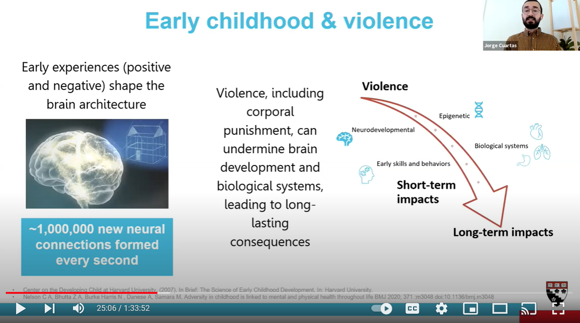 violence in early life has life long consequences