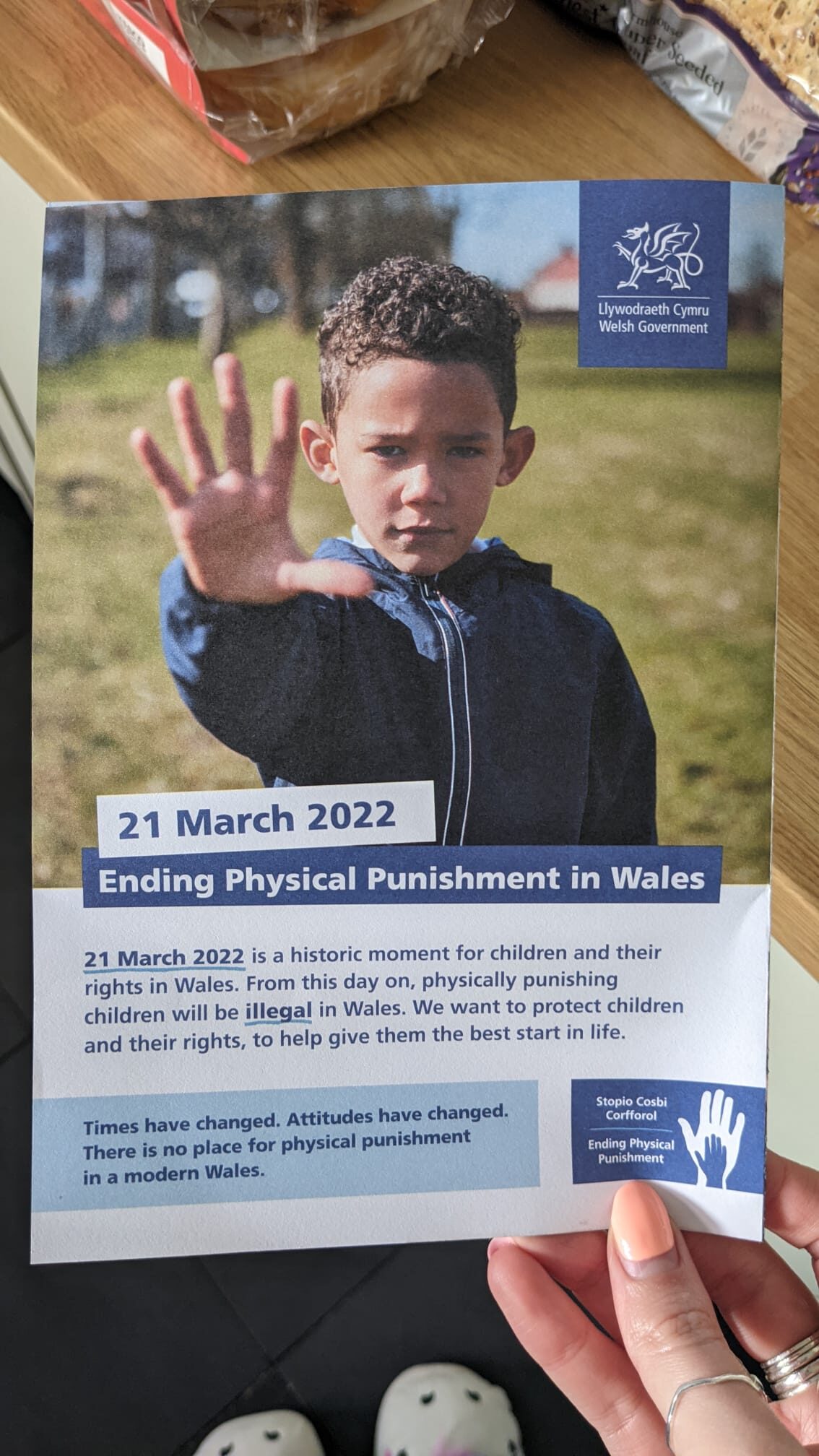 Welsh leaflet
